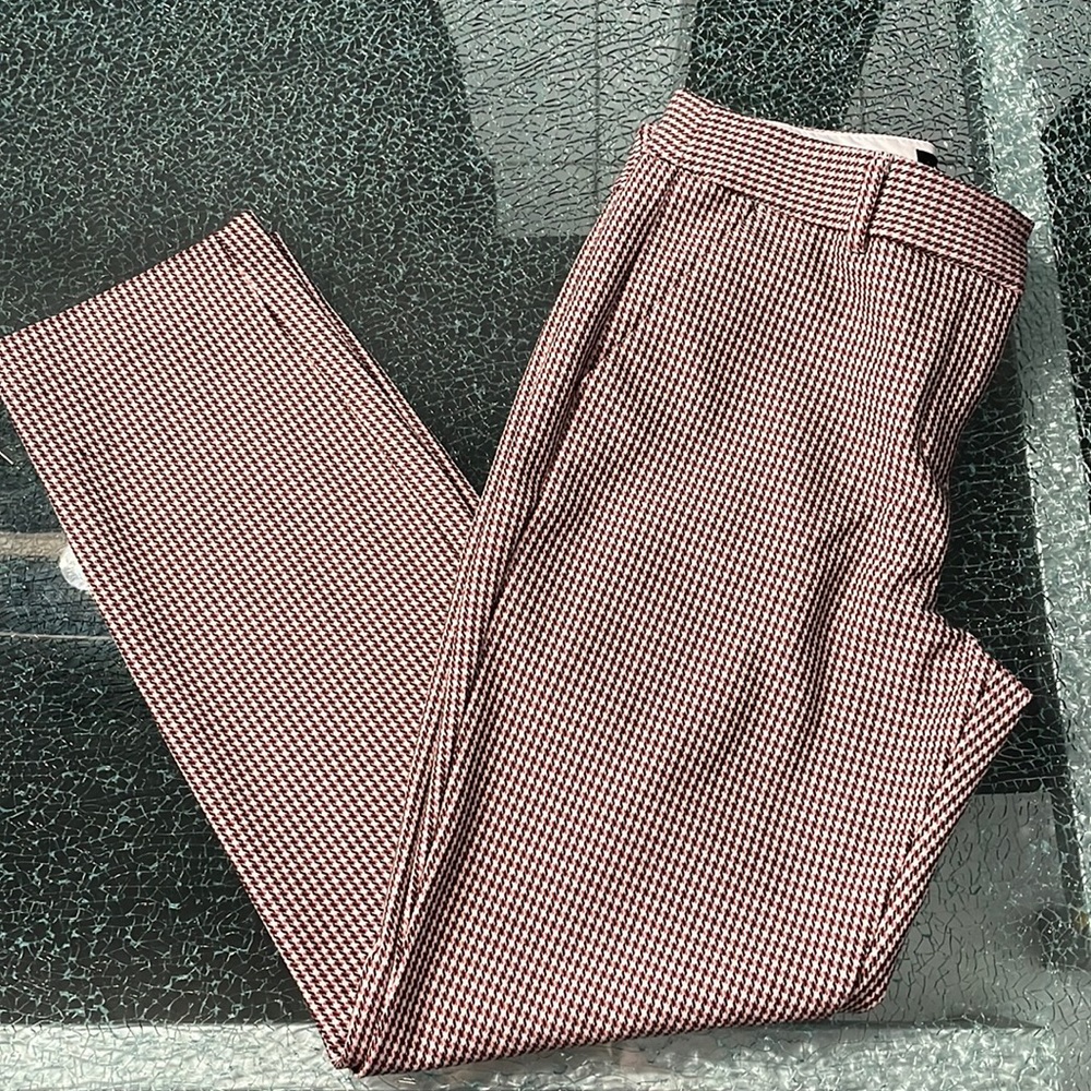 Express Columnist Ankle Pants